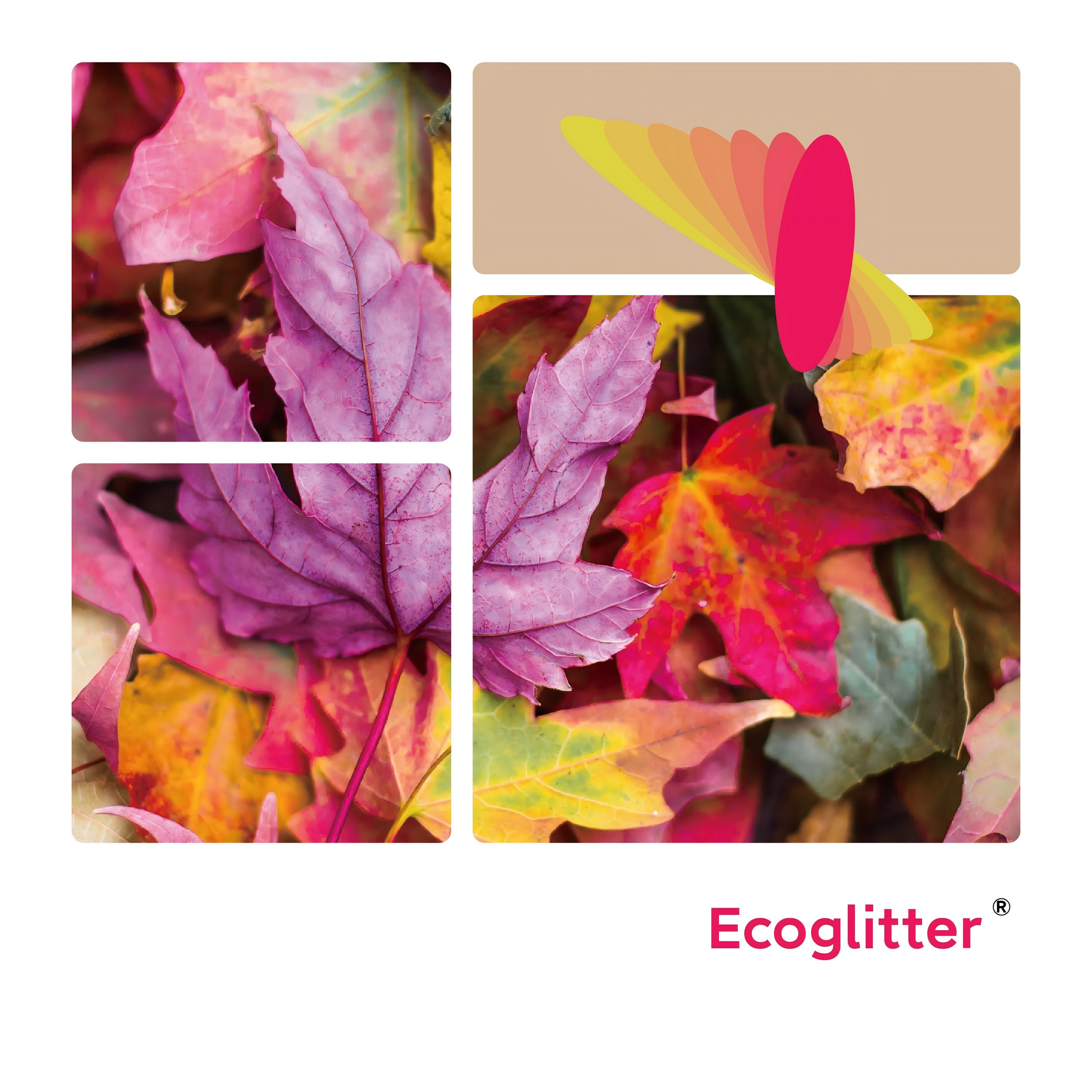 Ecoglitter(压缩).jpg